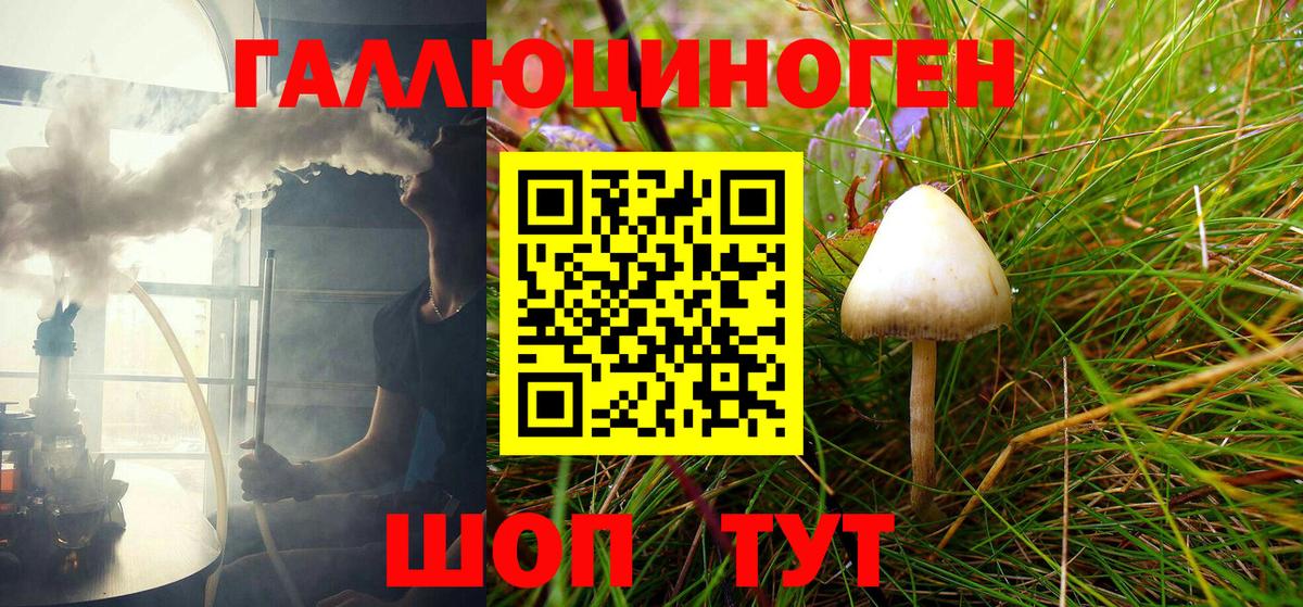 Анжеро-Судженск  Галлюциногенные грибы мухоморы  Вход с VPN 