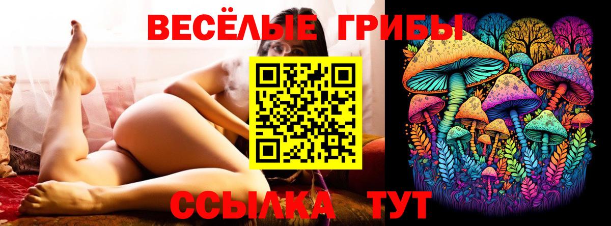 Галлюциногенные грибы GOLDEN TEACHER  Анжеро-Судженск 