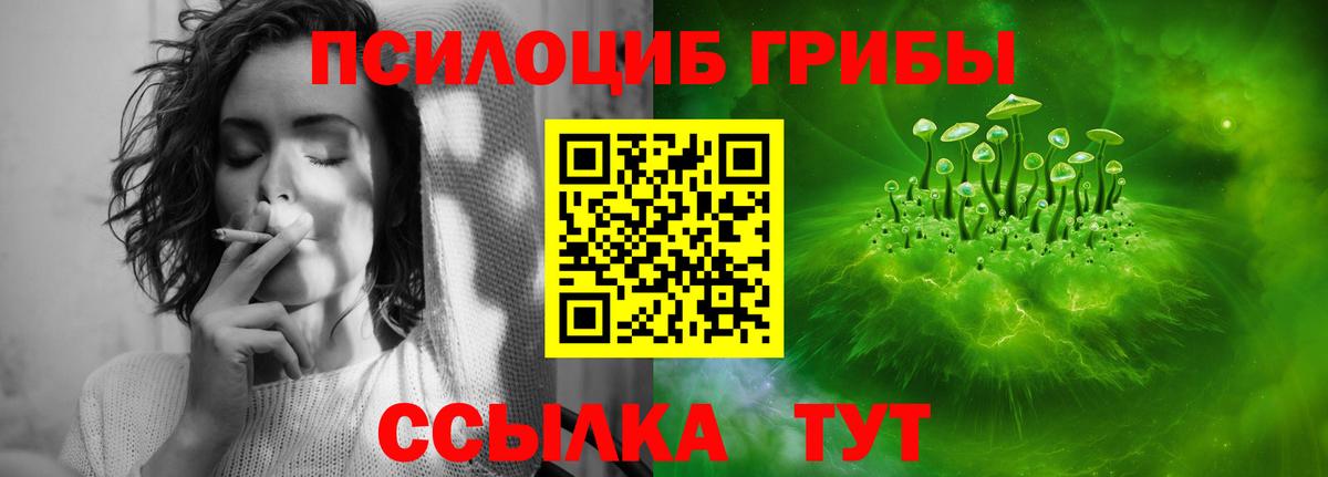 Галлюциногенные грибы мухоморы  Вход с VPN  Галлюциногенные грибы Psilocybine cubensis  Анжеро-Судженск 